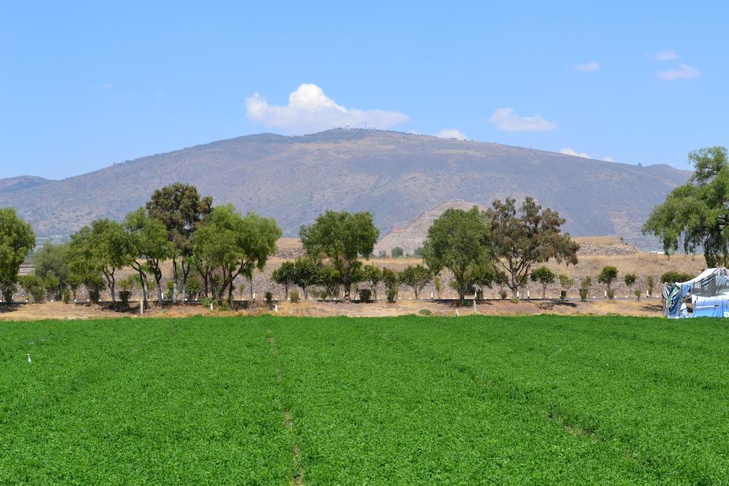 ホテル ケツァールカリ San Juan Teotihuacán エクステリア 写真